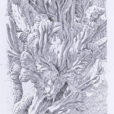Ballade 20 | 26x16cm